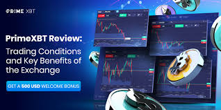 Live Trading PrimeXBT in Indonesia 1